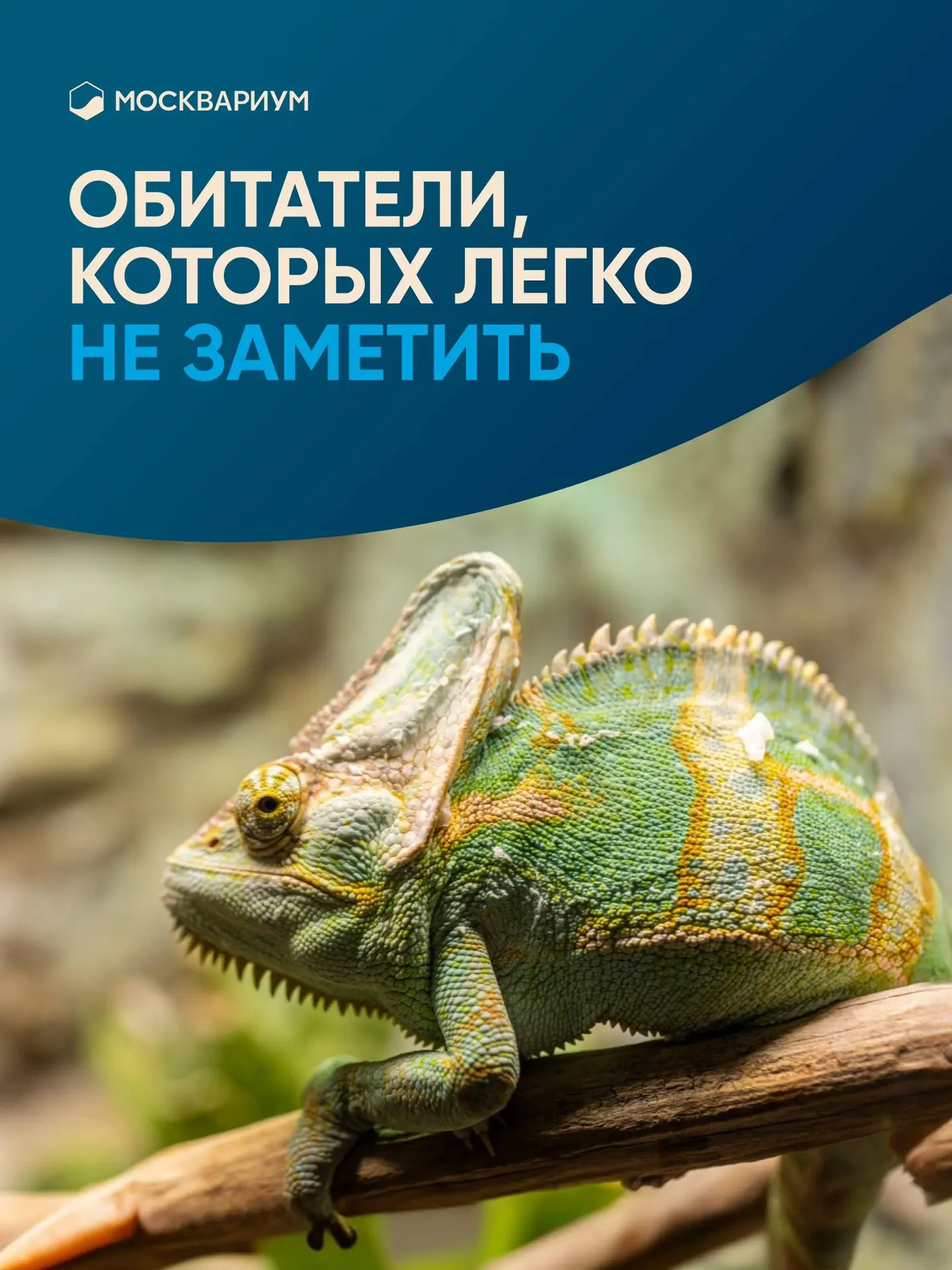 Вы ходите по Москвариуму, смотрите по сторонам и думаете, что рассмотрели всех обитател...