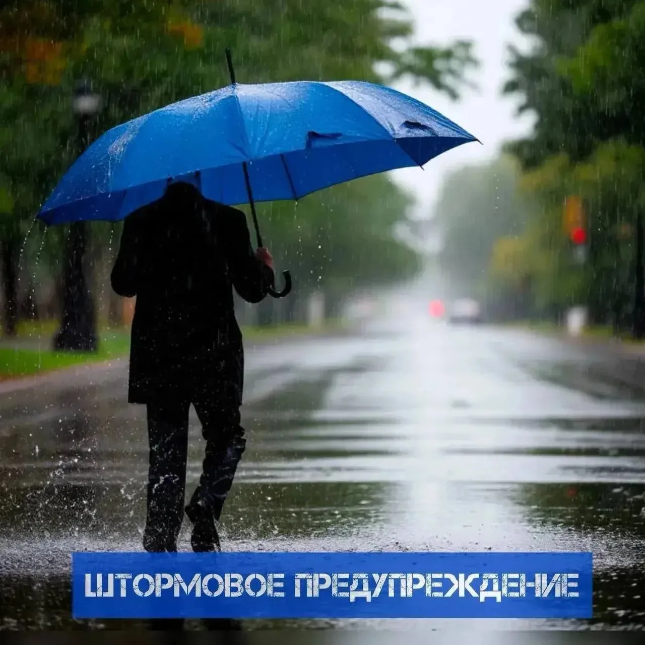 ⚡️Штормовое предупреждение объявлено в Приморье