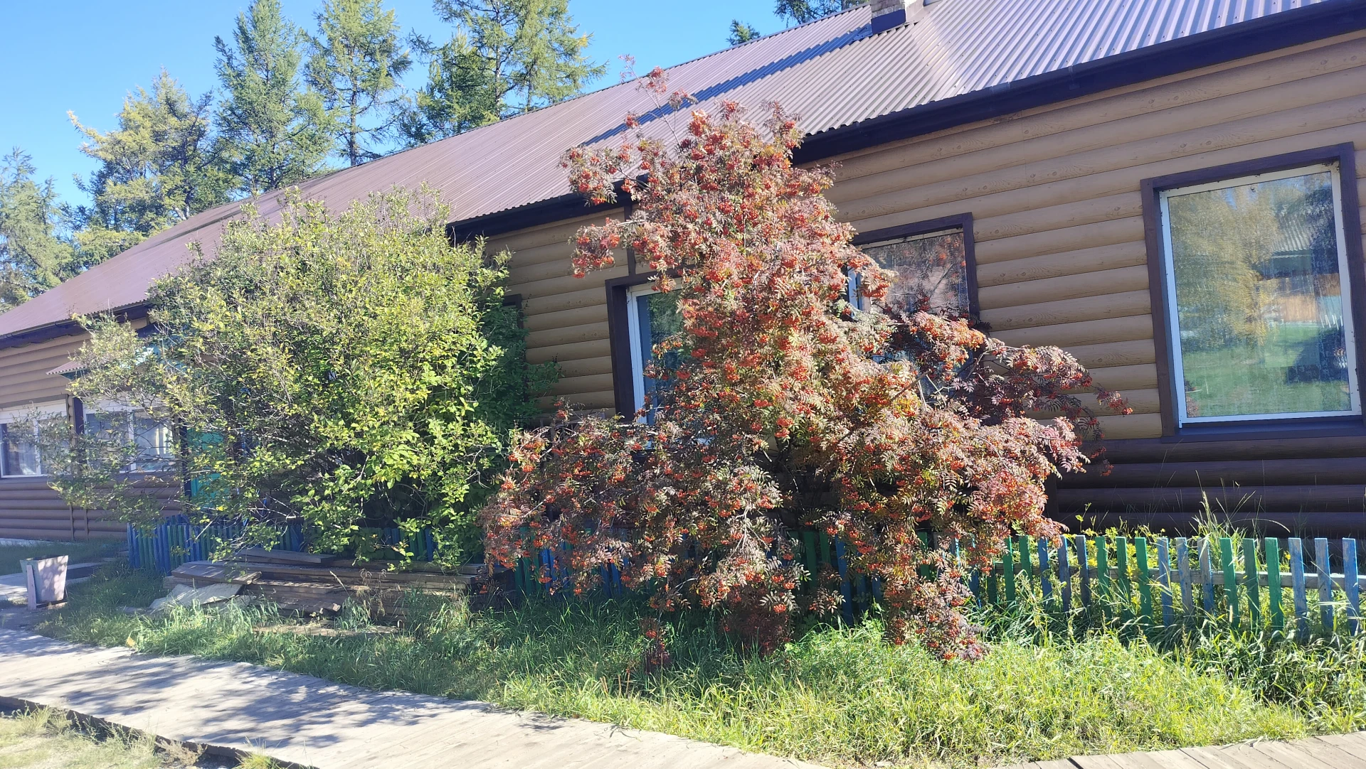 База отдыха «Орбита» — это спокойствие и душевное равновесие на природе. 🌿✨ Забронируй...
