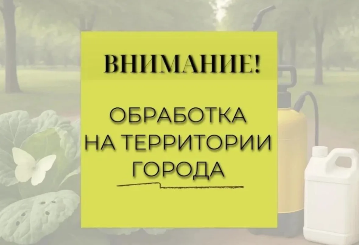 Внимание! В Новороссийске будут проводиться работы по уничтожению американской белой бабочки, тли, я