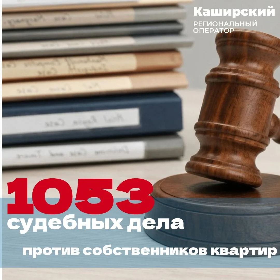 1053 дела, связанных с неуплатой услуг по вывозу отходов собственниками квартир, подгот...