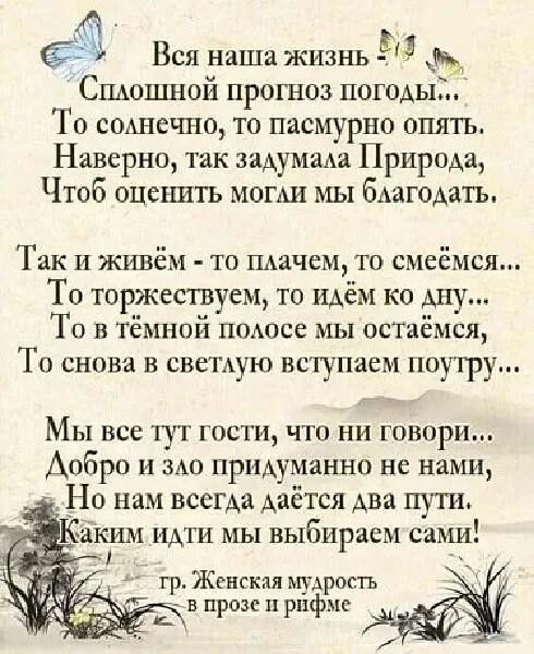 Стихи...✍