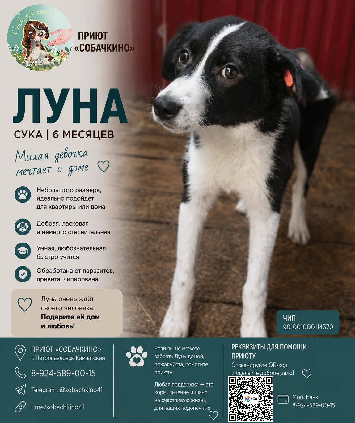 ЛУНА ИЩЕТ ДОМ