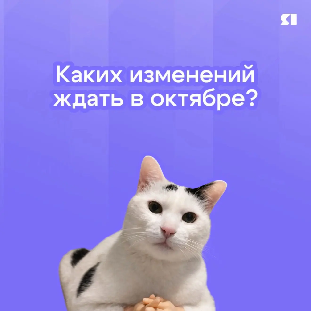 🧷 Новый месяц – новые законы. Какие изменения нас ждут в октябре и к чему готовиться, ...