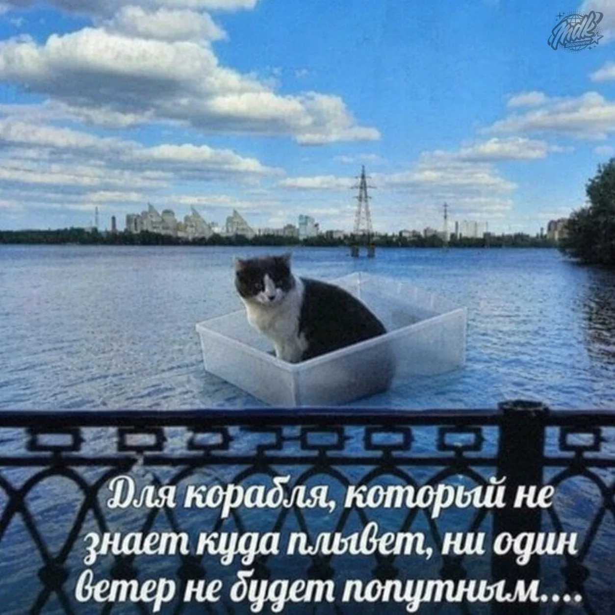 😞

MDK Воронеж 👈 подписаться