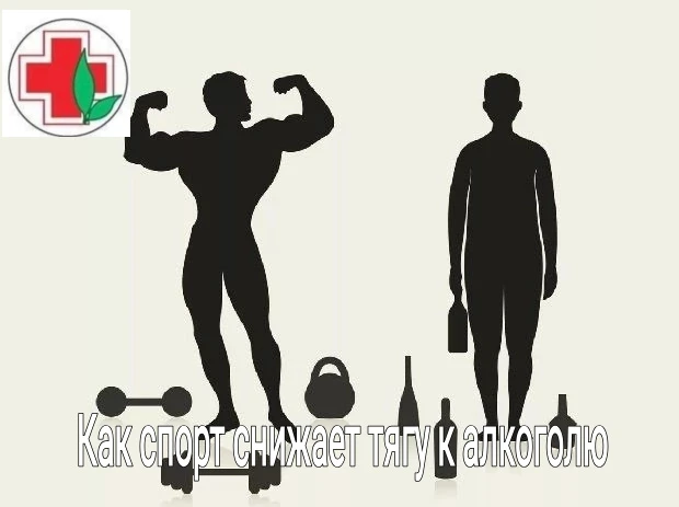 🗣В рамках недели физической активности, разберем как спорт и физические упражнения помогают избавит