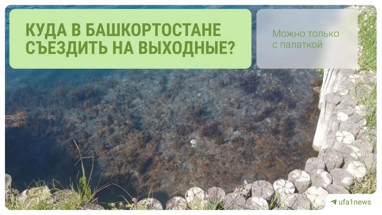 А вы знали, что к нам со всей России природу смотреть едут?

@ufa1news собрал подборку из 12 мест, к