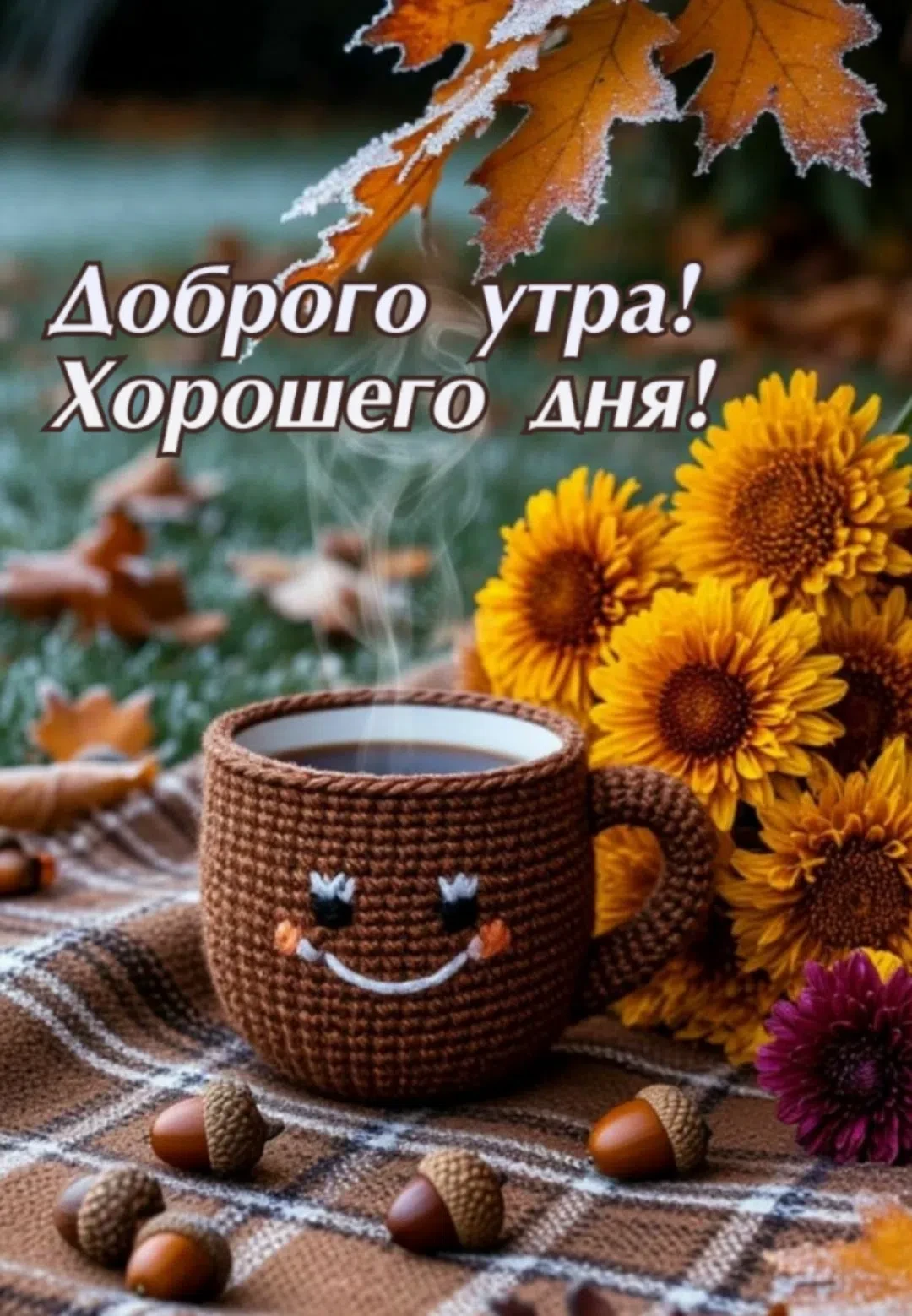 Наши каналы: