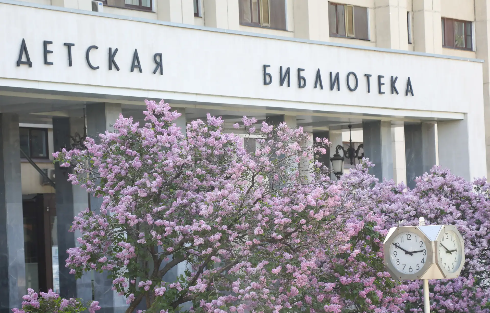Книги о библиотеках, библиотекарях и чтении. Подборка к Общероссийскому дню библиотек!

Российская г