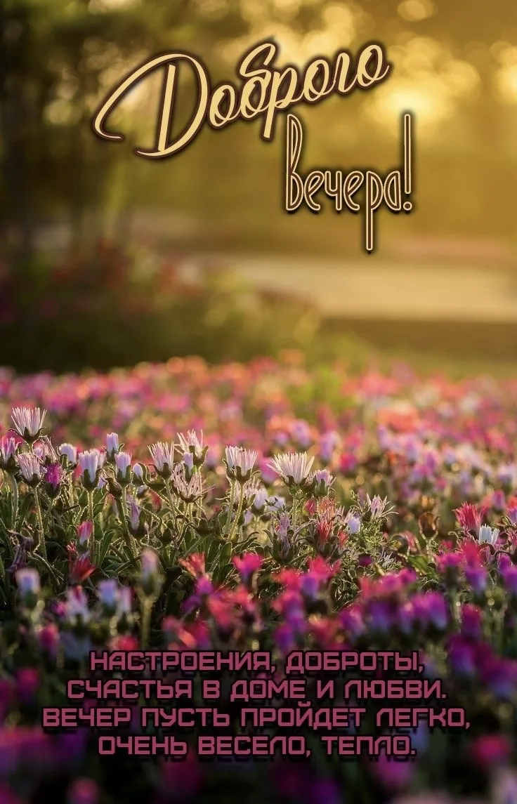 #ДоброгоВечера 🌅

👉Открытки! Подписаться