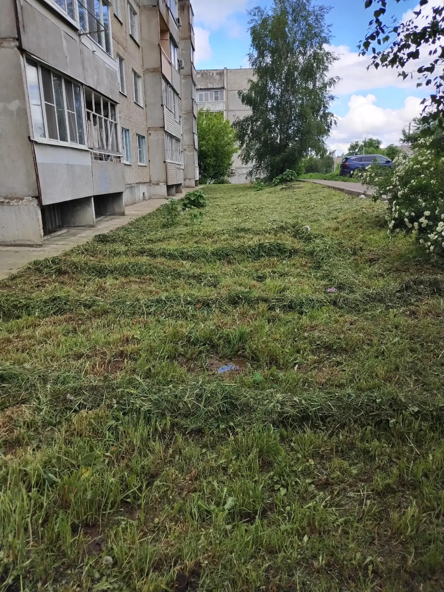 🌿🍃 Покос травы на придомовой территории по адресу: ул. Ивановская, д. 14, завершён!