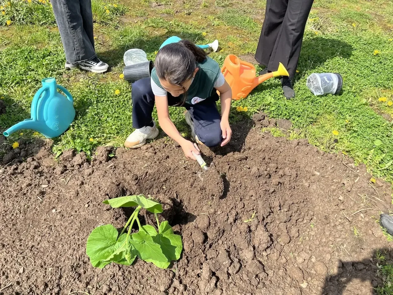 🌾 Огородные чудеса в Марковской школе! 🌾  Ученики 1‑го и 3‑го классов взялись за лопаты — и вуаля! ✨