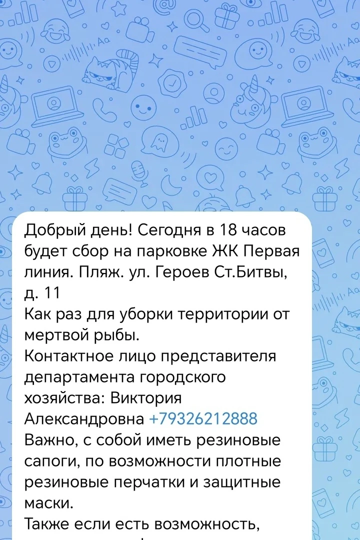 Сегодня в 18:00 состоится массовая уборка береговой линии от погибшей рыбы.