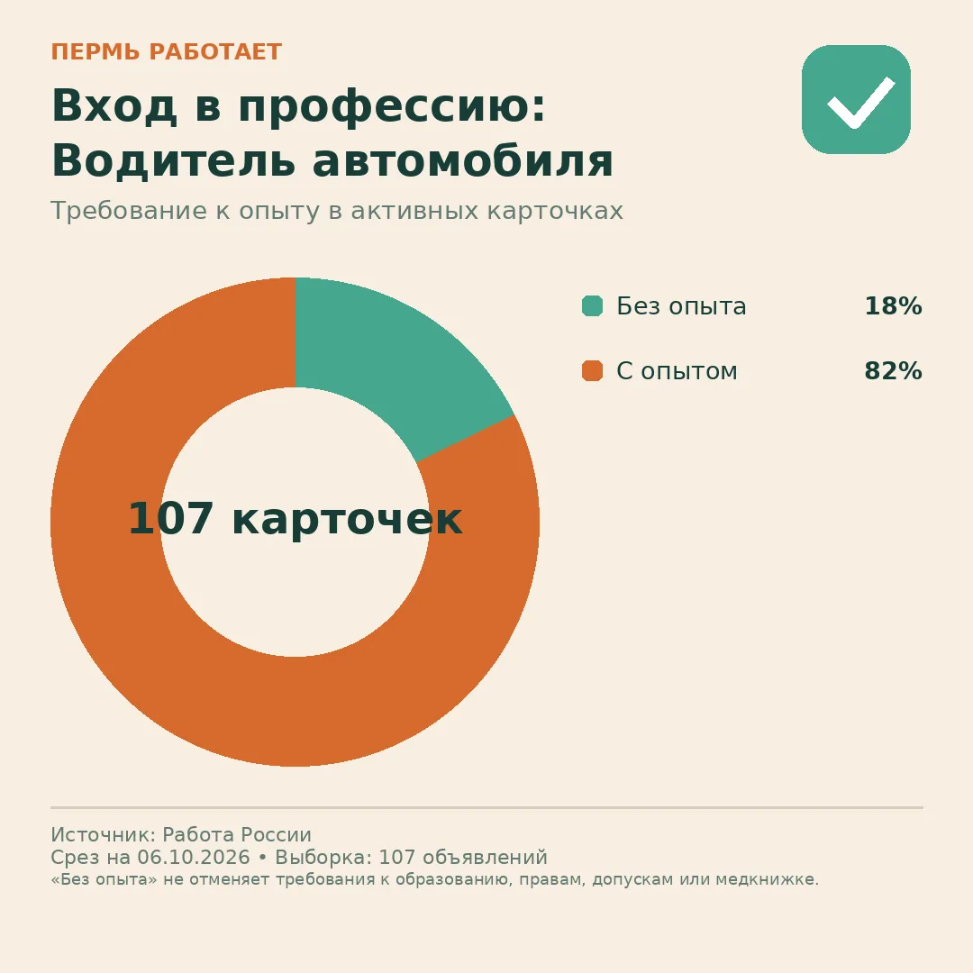 🧰 Старт без стажа: что видно в свежей базе