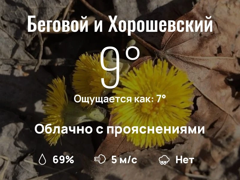 Что с погодой в Беговом и Хорошевском?