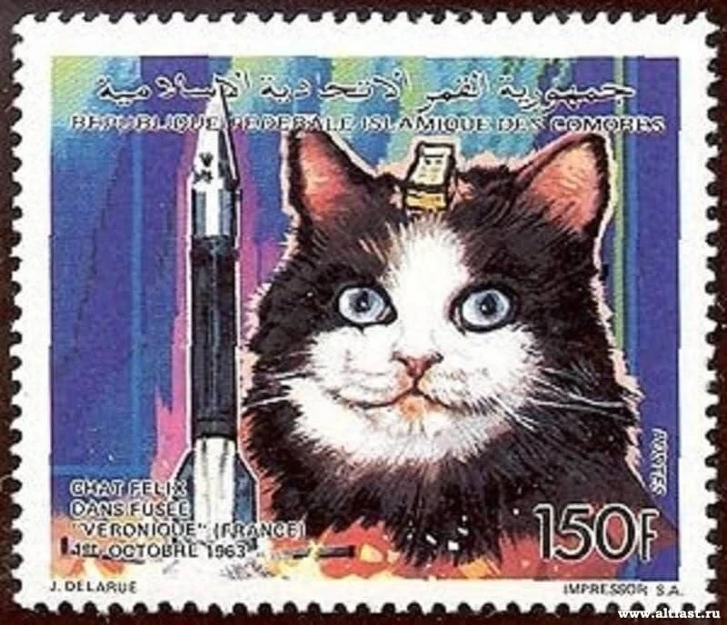 Марка Коморских островов 😺