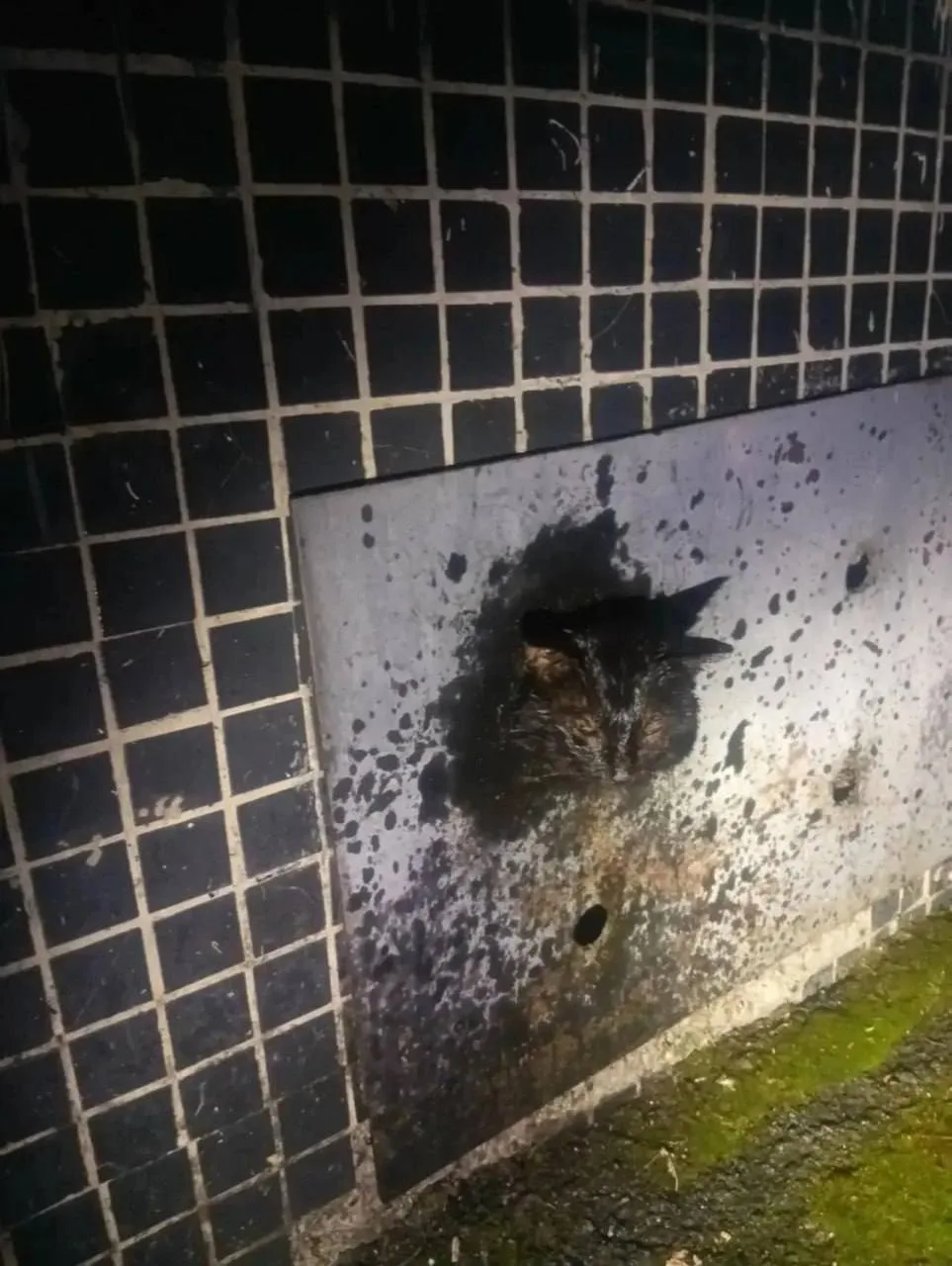 🐾 Новокузнецкие спасатели пришли на помощь застрявшей кошке