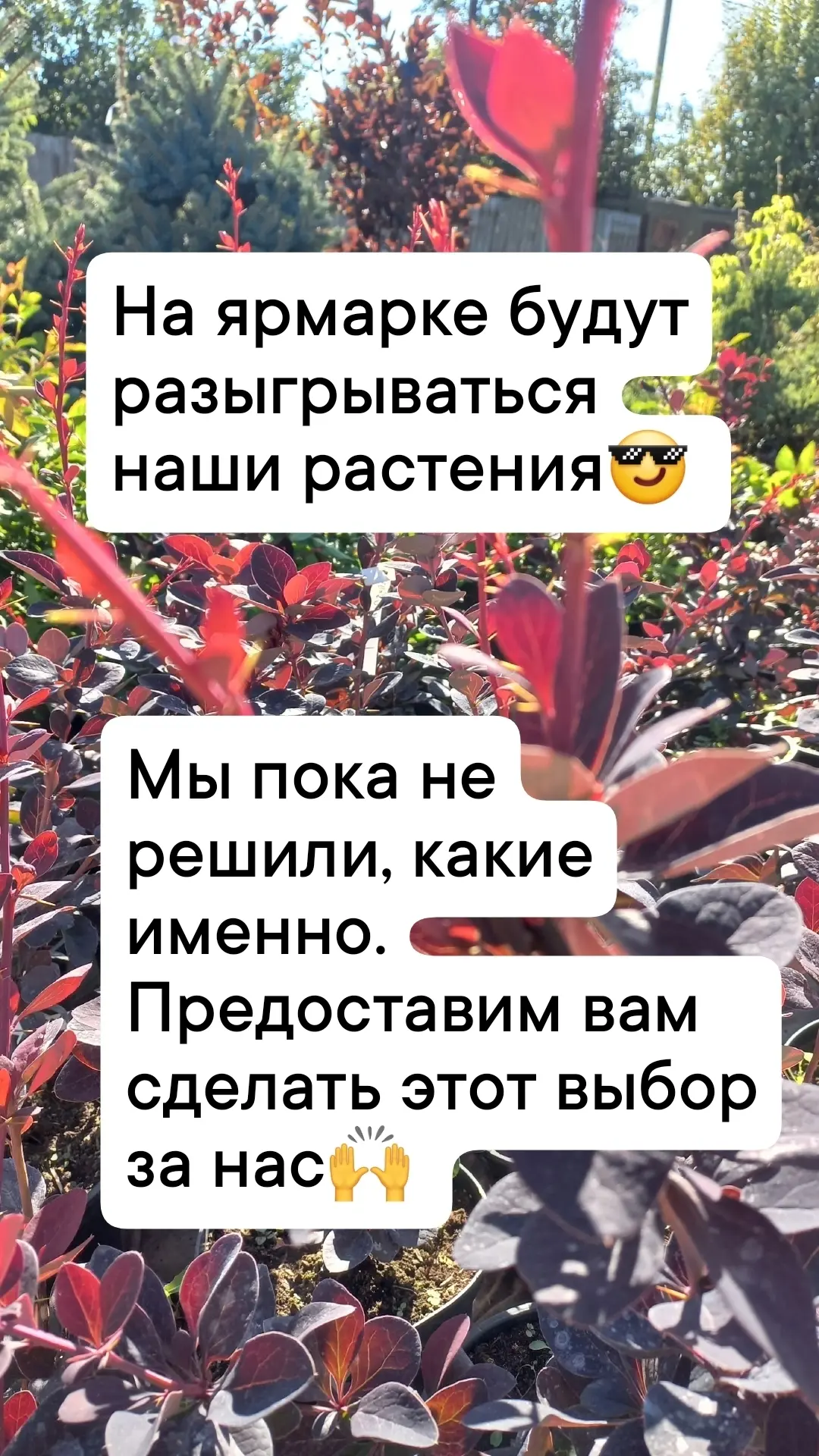 Какое