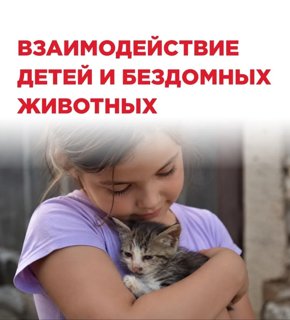 Сегодня Всемирный день бездомных животных. Повод поговорить с детьми о доброте, сострад...