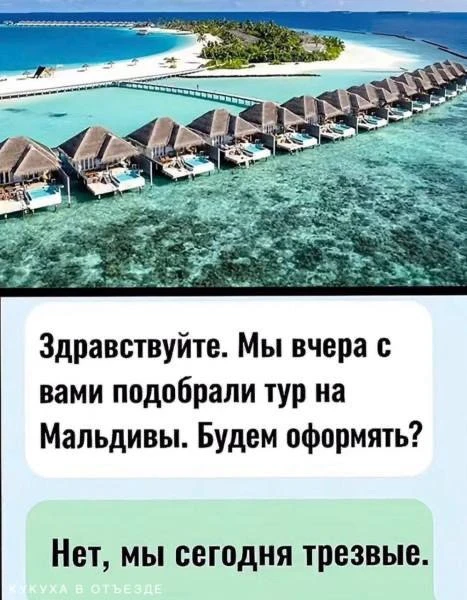 Кукуха в отъезде 🐦
