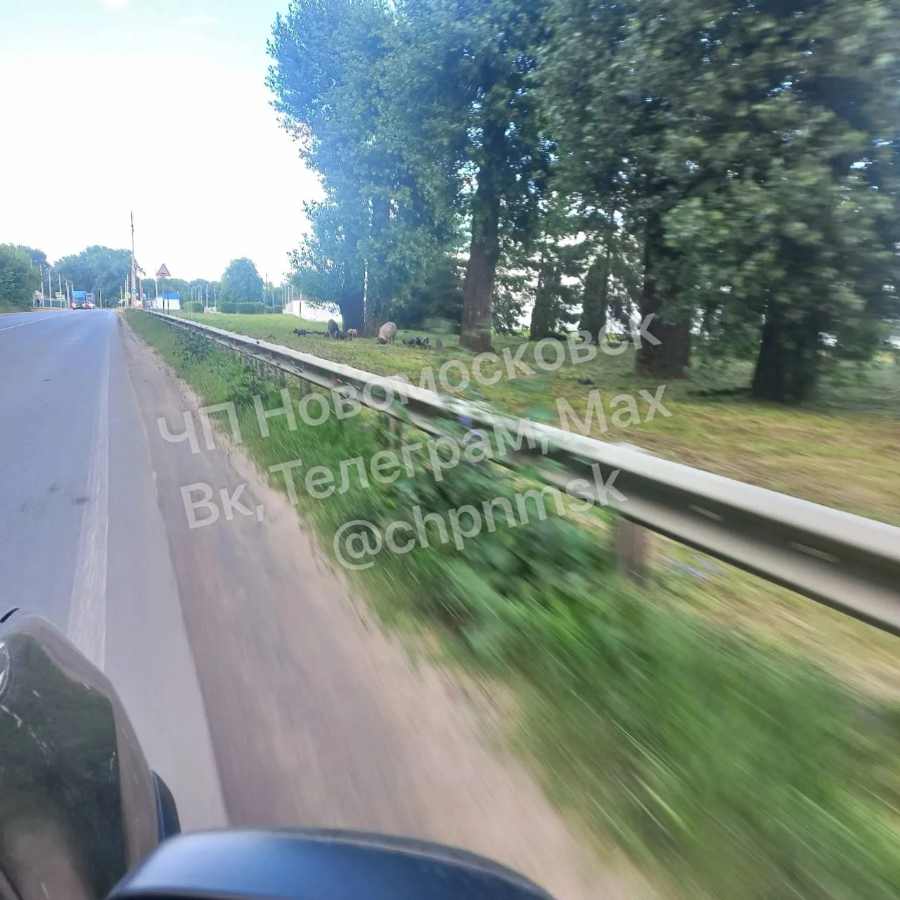 Сегодня в 16.00 возле Проктера