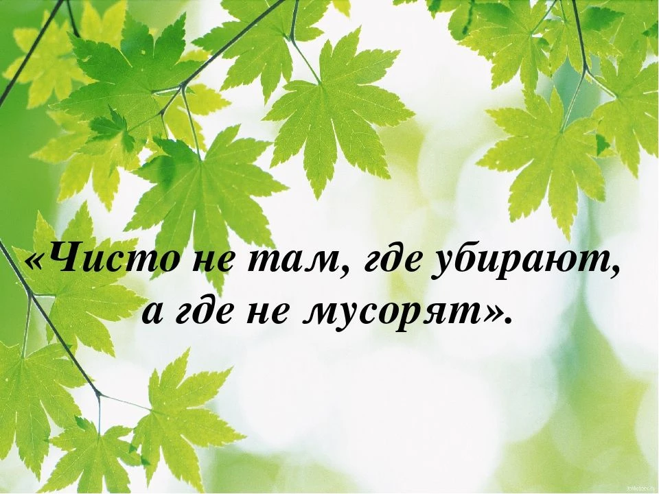 ⛔ Внимание! Важная информация о контейнерных площадках нашего города
Друзья, мы снова вынуждены подн