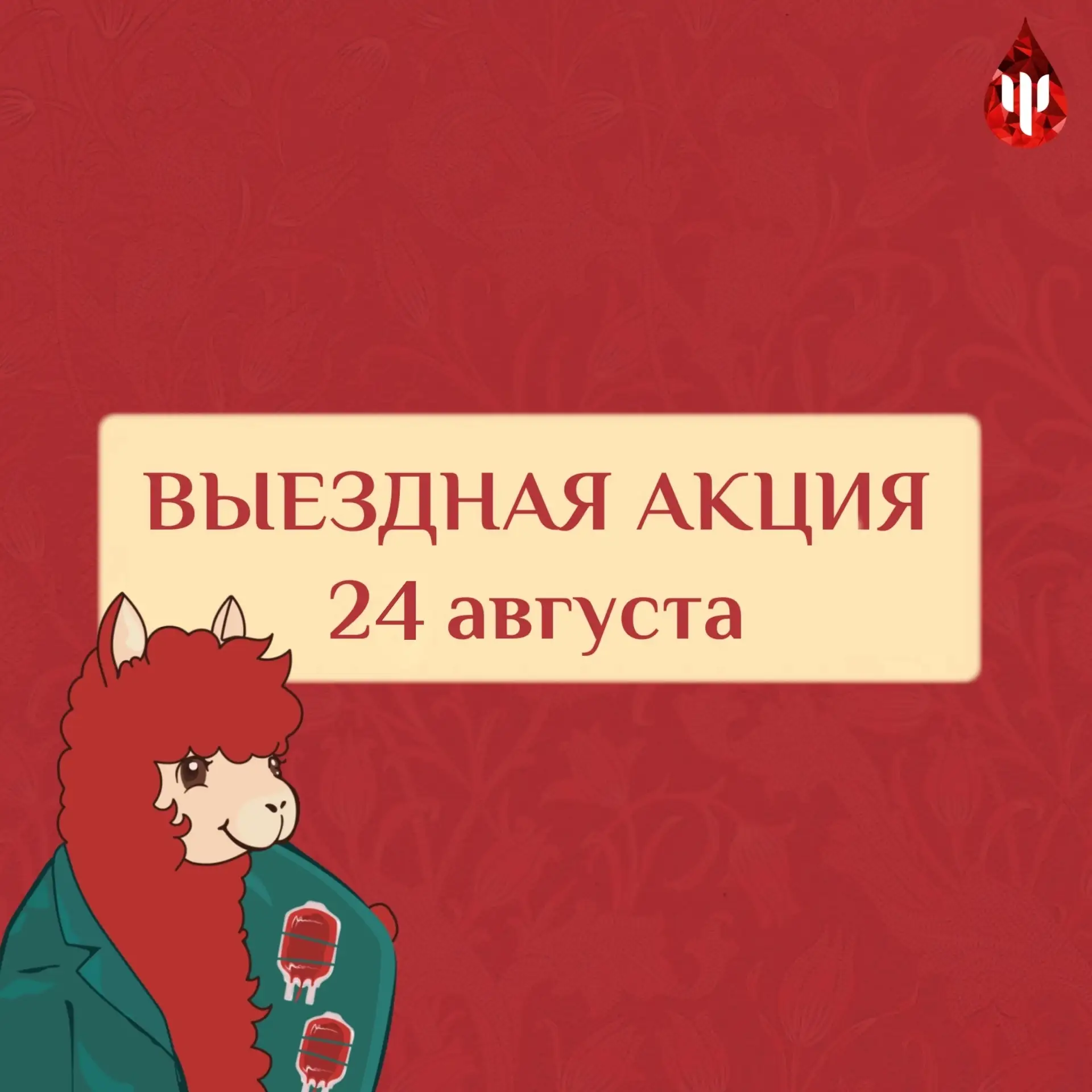 Дорогие студенты!