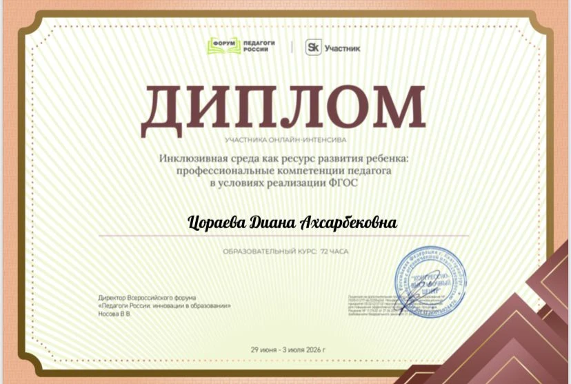 Инклюзия давно вышла за рамки работы только с детьми с ОВЗ — сегодня это пространство развития для к
