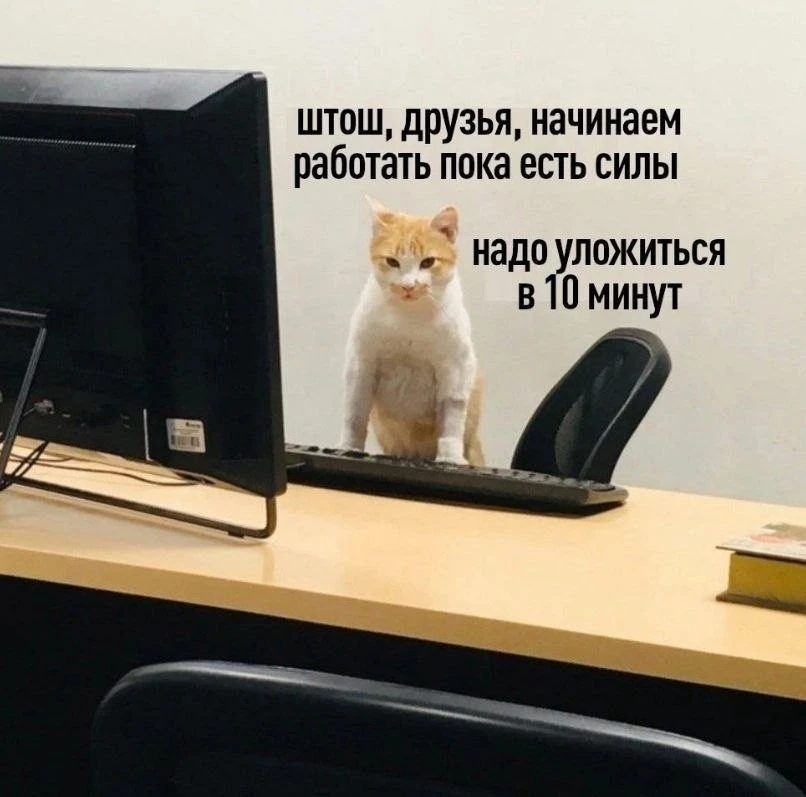 #пятничныйМЕМ