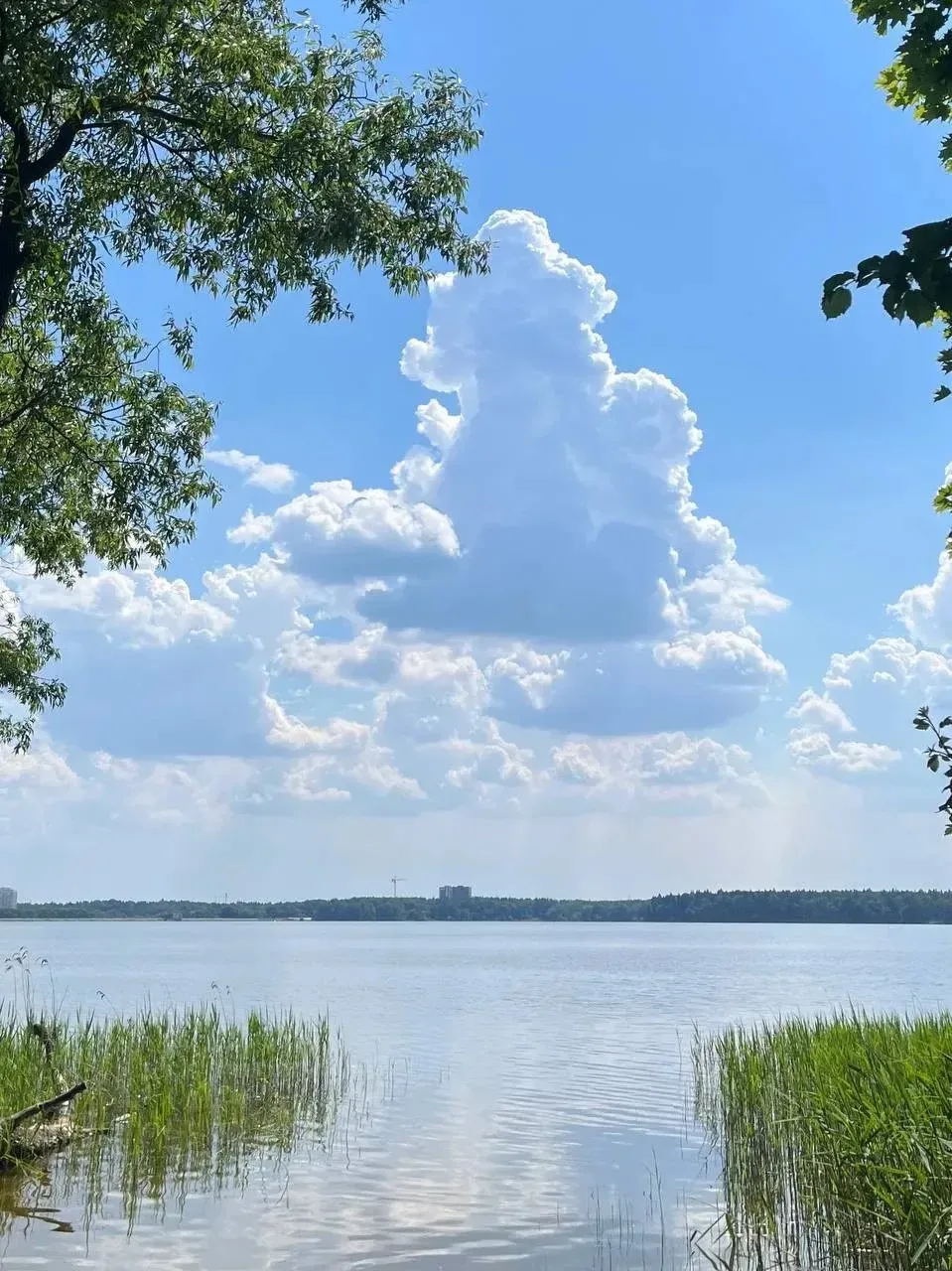 Лето в Пушкино ☀🌸🌿