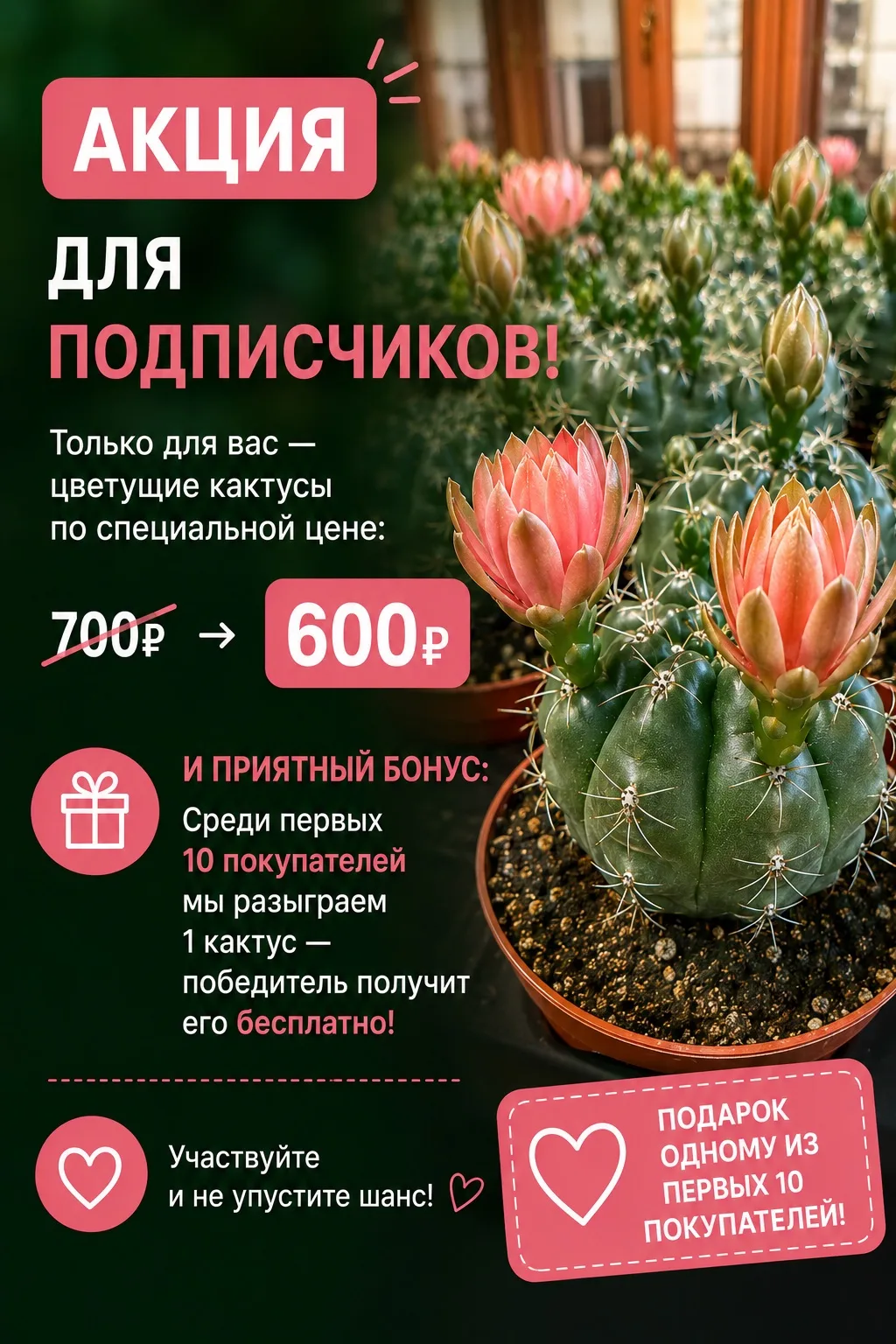 🌵 АКЦИЯ ДЛЯ ПОДПИСЧИКОВ!