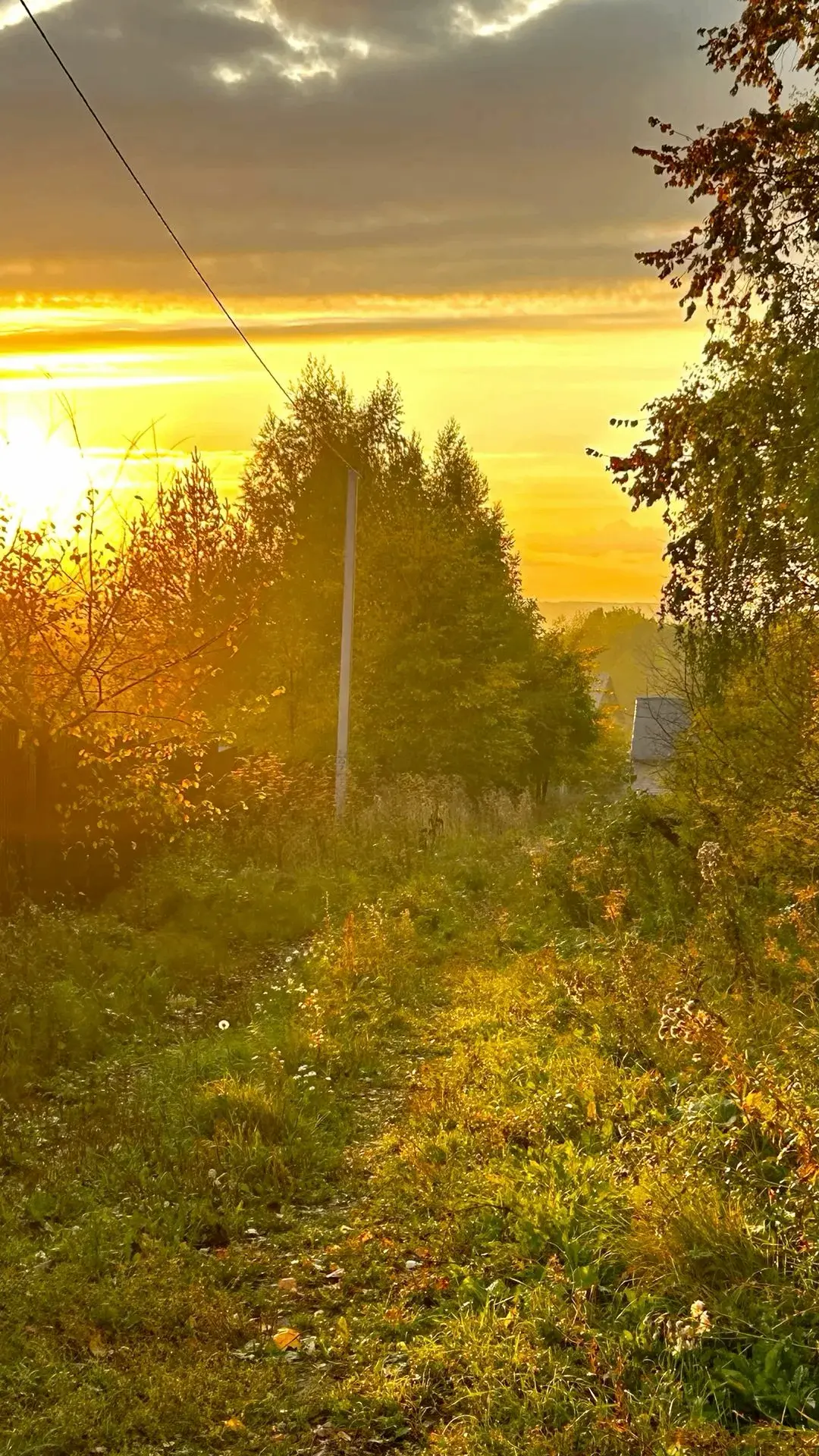 ☀️ доброе утро!