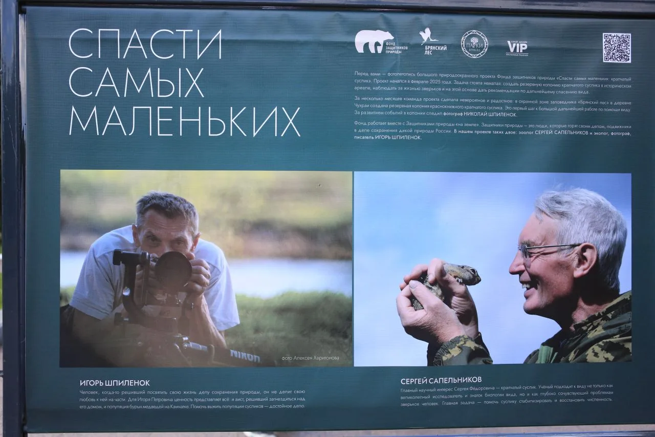 Вчера в День эколога в Брянске открылась фотовыставка "Спасти самых маленьких", рассказ...