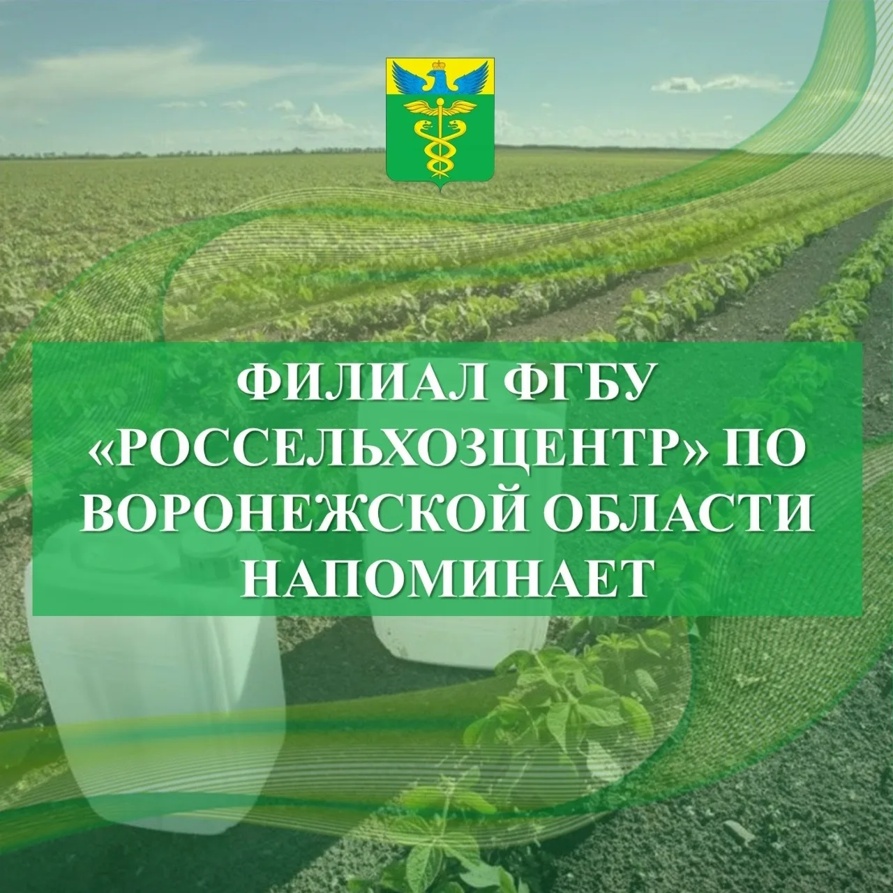 Специалисты отдела по защите растений филиала ФГБУ «Россельхозцентр» по Воронежской области напомина