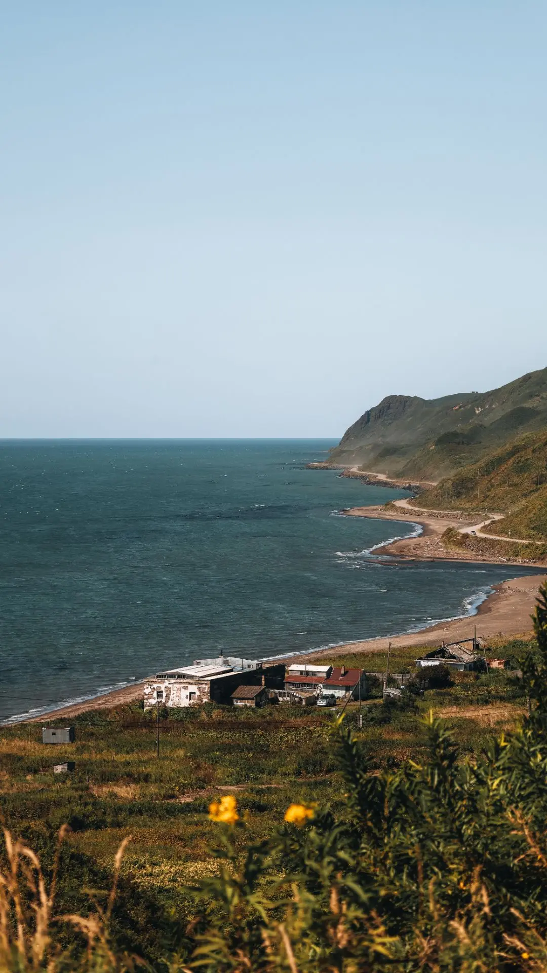 📍Красноярское - Чехов - Новосибирское