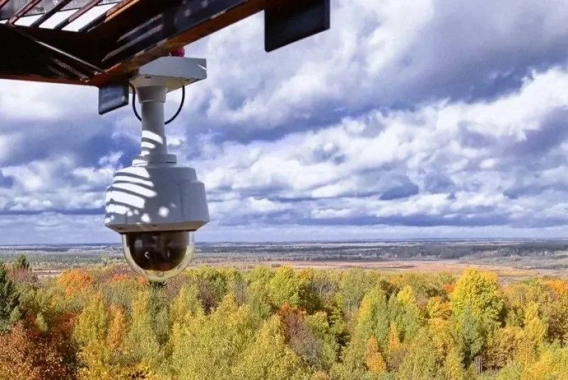 ☀️ У нас хорошие новости!

На территории Хабаровского края лесных пожаров не зарегистрировано!
Усили