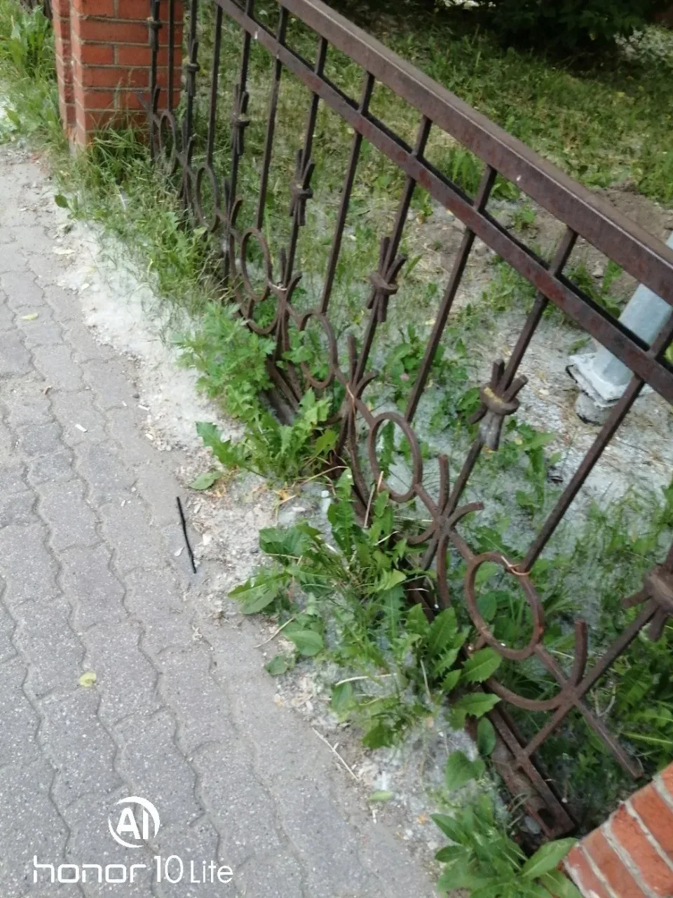 Парк Гоголя, да и вообще вся улица Гоголя в пуху. Смотрится необычно, аллергикам сегодня здесь лучше