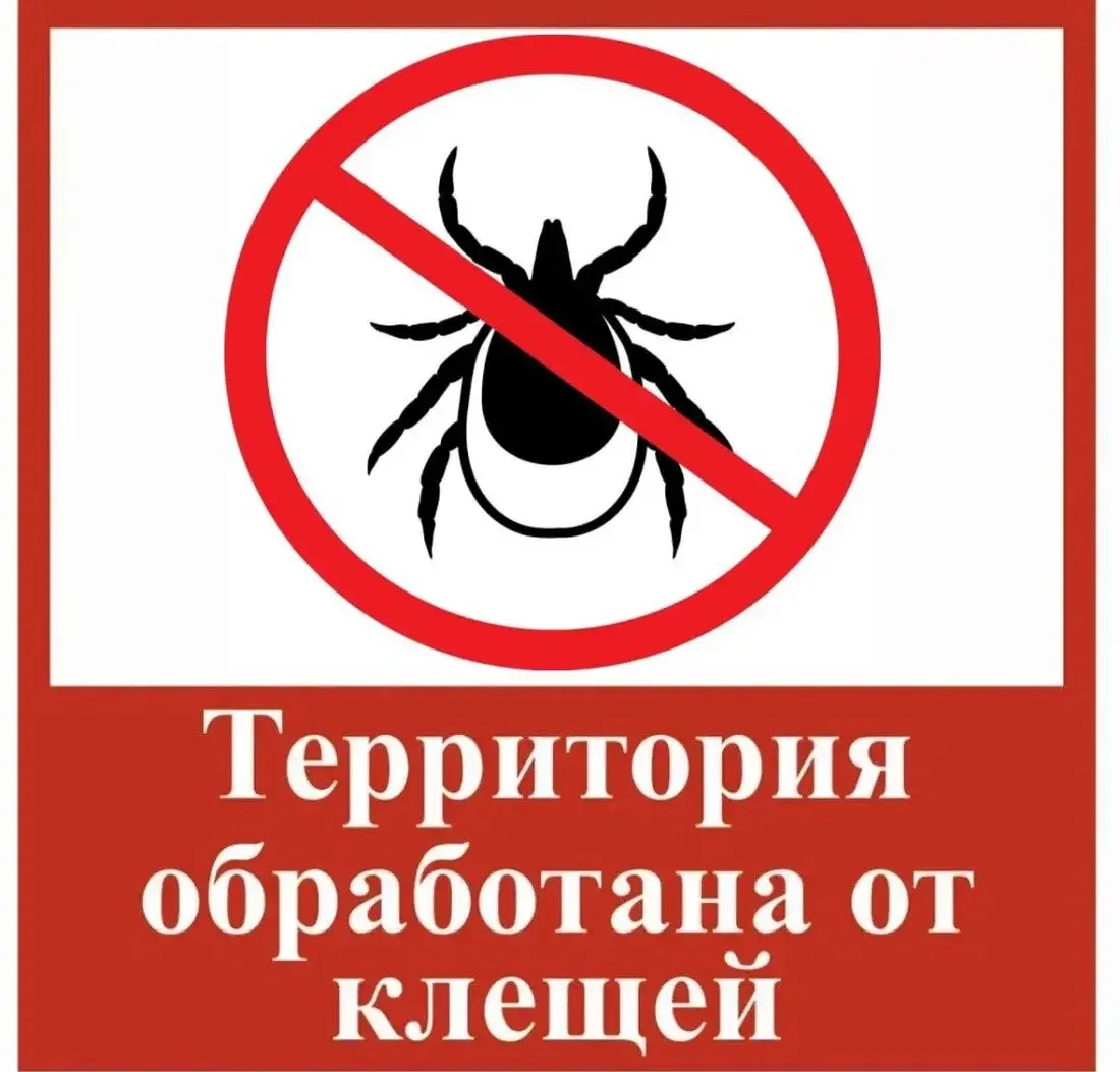 Важно: территория детского сада обработана от клещей