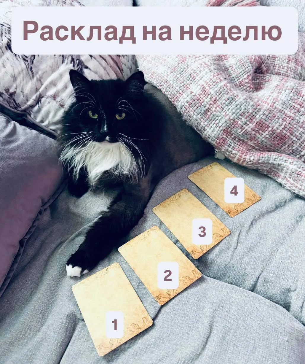 Делаем расклад на неделю)