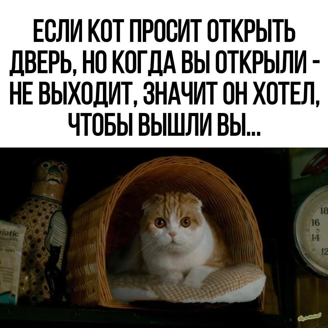 Будем знать😂
