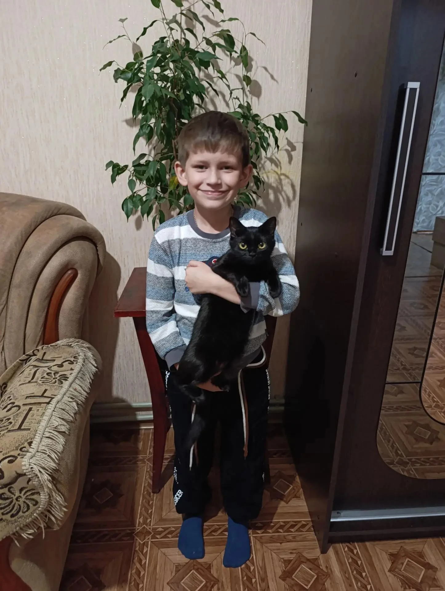 В нашей семье живёт кошка Нэсси. Нам ее подарила мамина подруга. Она охотница, любит ло...
