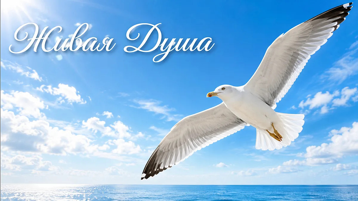 Курс «Живая Душа» — старт 16 июня
