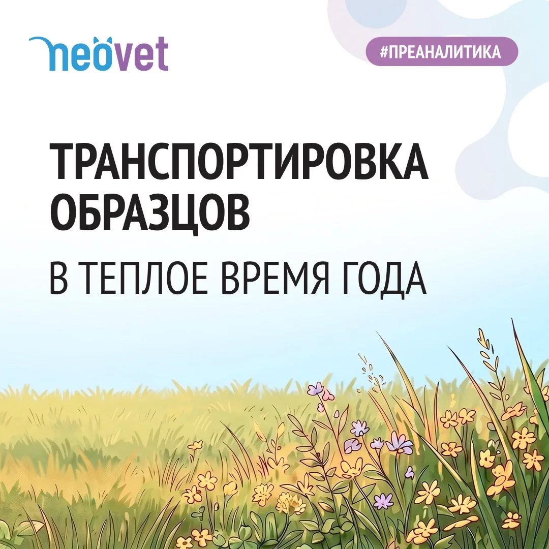 #преаналитика