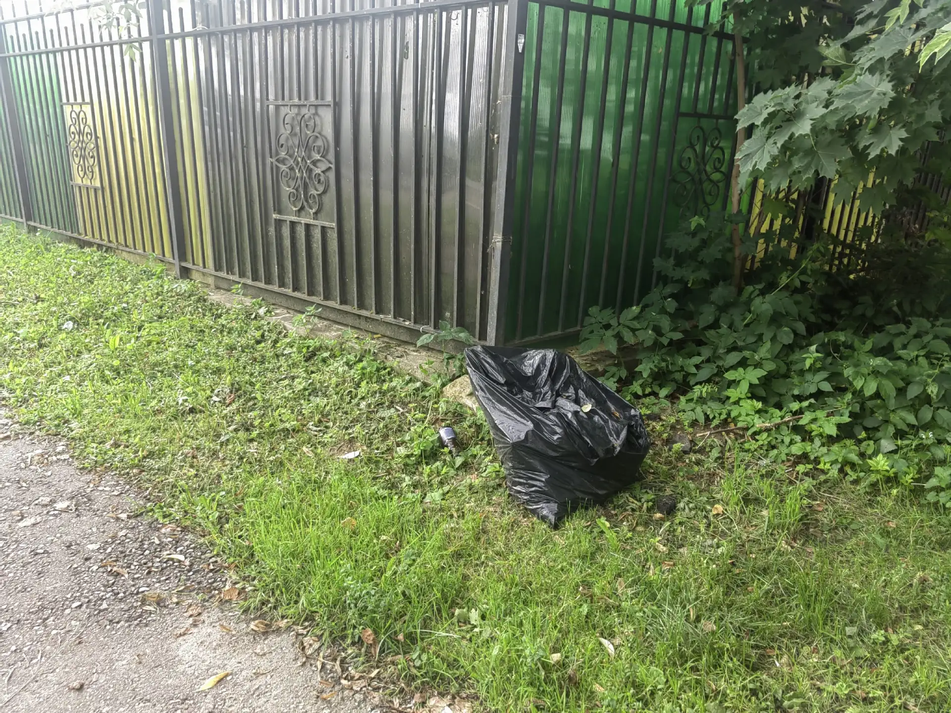 МК, д.сад.Аленка. МБУ,,ЗРЭС,"пожалуйста ,сгребите пожухлую траву и сорняки, тогда уже б...