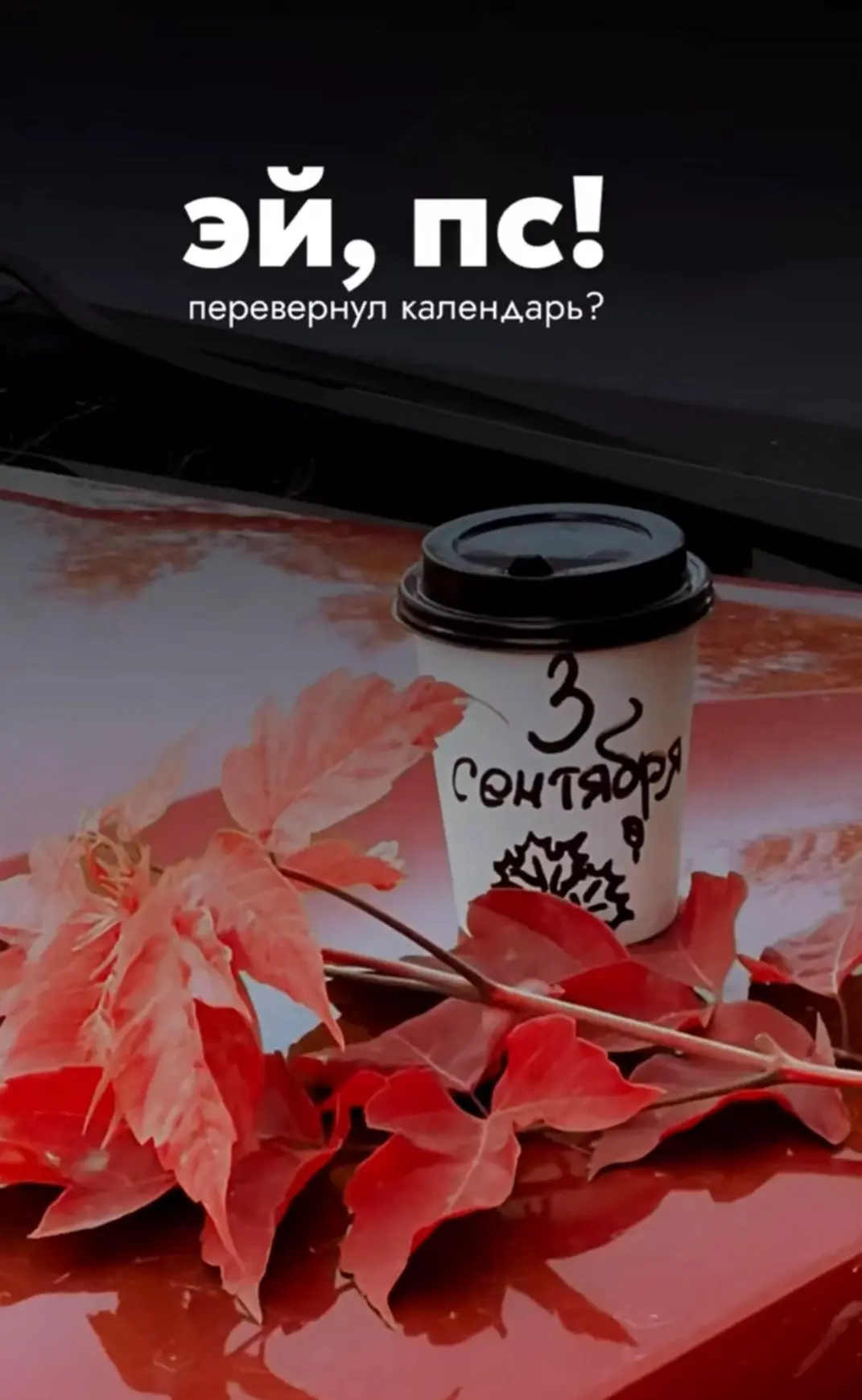 Понравилась открытка? Оставьте реакции ❤️