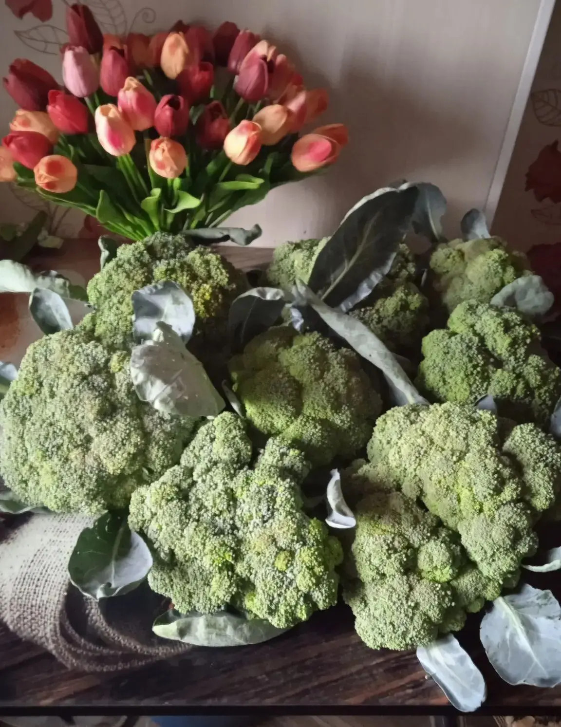 Уңыш -2026
🌱 Матур фото Рузия Шамиевадан килде.