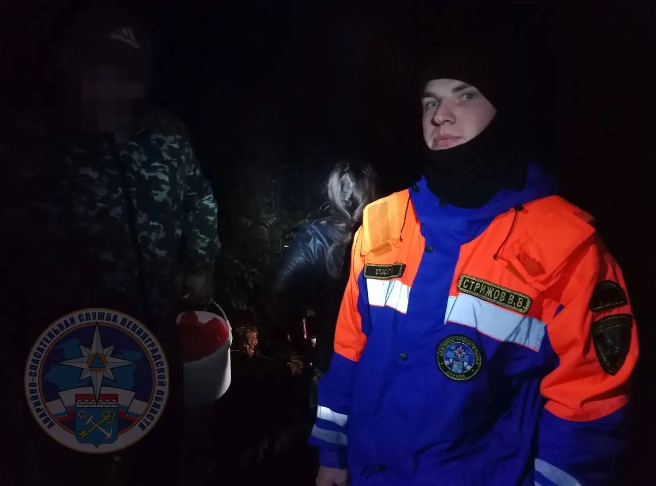 🐻 В Ленобласти мужчины сыграли в «выживи после встречи с медведем»