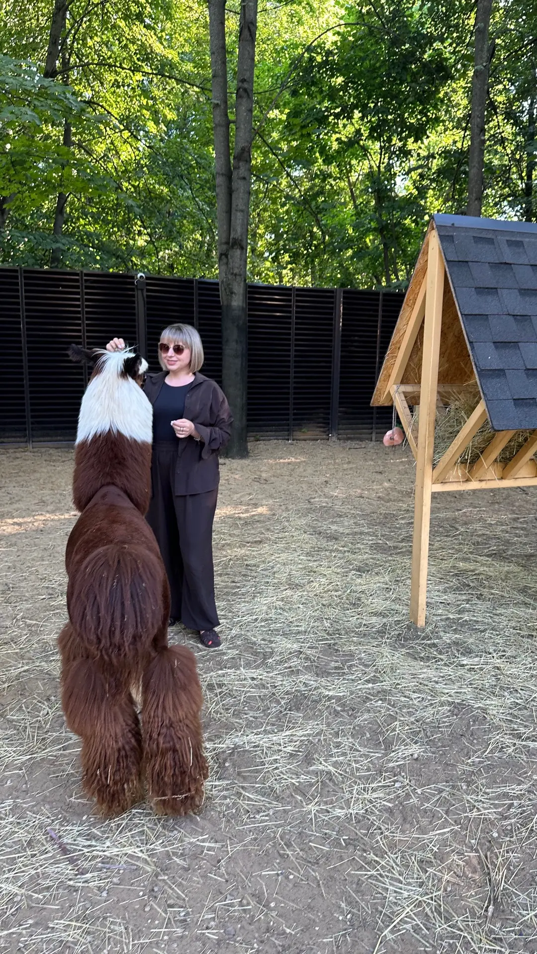 🦙«Где животные — там Тася, а значит, и мы!»