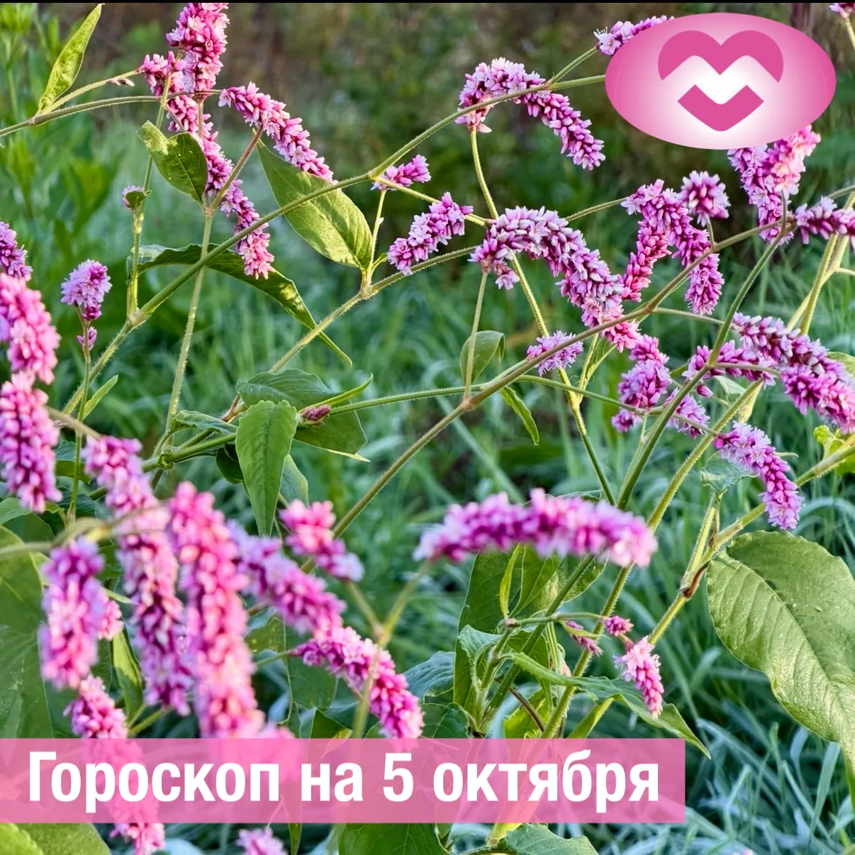 ♈ Овен: