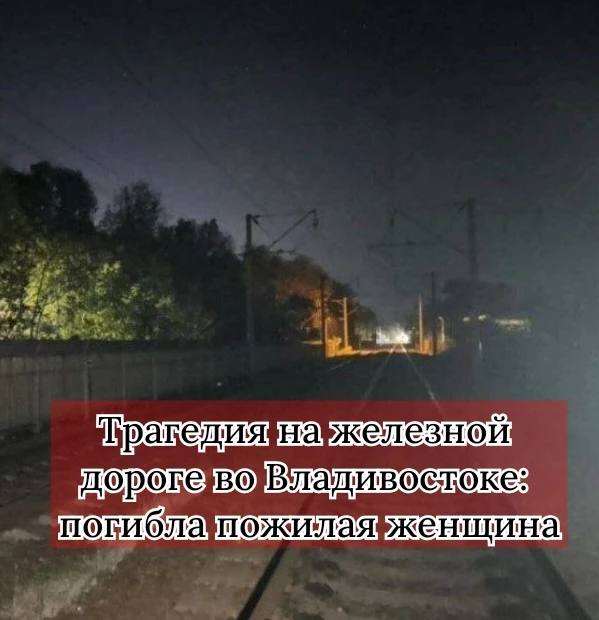 Вчера 3 октября около пяти часов вечера на перегоне Океанская — Вторая Речка произошел ...